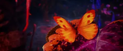 Screenshots 1