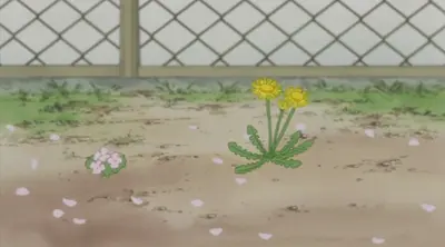 Screenshots 2