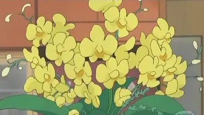 Screenshots 12